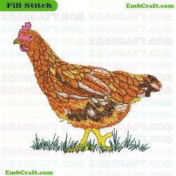 Chicken Embroidery Design 16