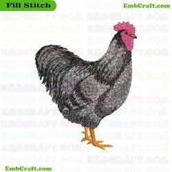 Chicken Embroidery Design 45