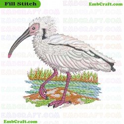 Northern Bald Ibis In Habitat Embroidery Design 19